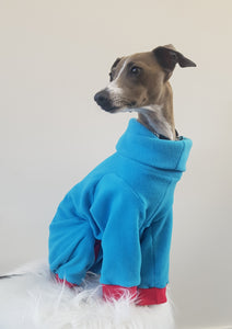 STYLECOM.NZ ~ NZ Designer Dog PJs  Bright Blue + Red Trim ~Size Medium
