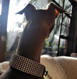 Bling Diamante Collar for Dogs - Size Medium ~ Black