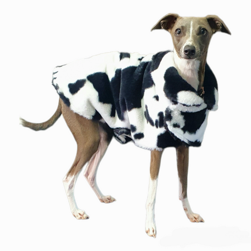 Cat online clothing nz