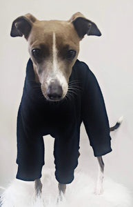 STYLECOM.NZ ~ Designer Dog PJs Black ~ Size Medium