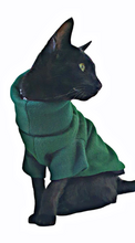 Load image into Gallery viewer, STYLECOM.NZ ~ Designer Dog | Cat Top • Forest Green Single Layer • Size Small