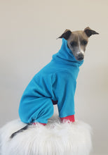 Load image into Gallery viewer, STYLECOM.NZ ~ Designer Dog PJs  Bright Blue + Red Trim ~Size Medium