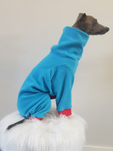 Load image into Gallery viewer, STYLECOM.NZ ~ Designer Dog PJs  Bright Blue + Red Trim ~Size Medium