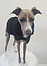 Load image into Gallery viewer, STYLECOM.NZ ~ Pure Envy Designer Dog Coat Black ~ Size Small