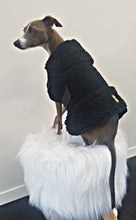 Load image into Gallery viewer, STYLECOM.NZ ~ Pure Envy Designer Dog Coat Black ~ Size Small