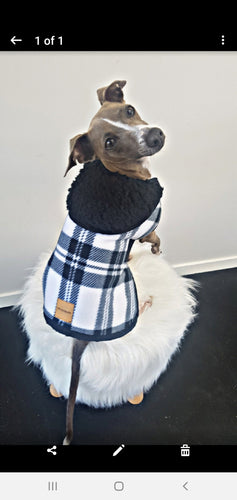 STYLECOM.NZ ~ Pure Envy Designer Dog Coat  Black + White~ Size Small
